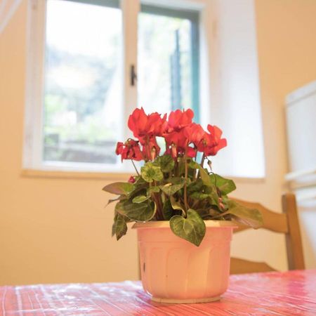 Apartman Juricic Labin  Exteriör bild